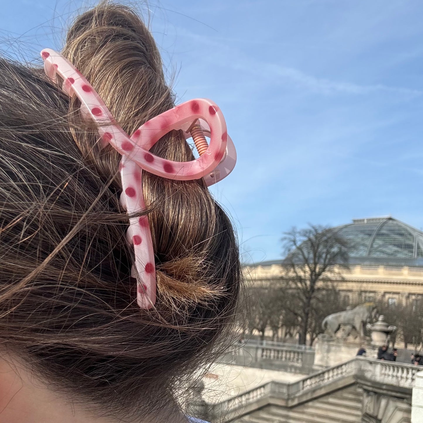 Amour Hair Claw