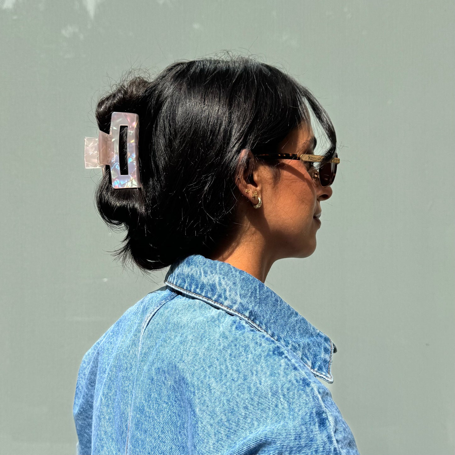 Classic Hair Clip