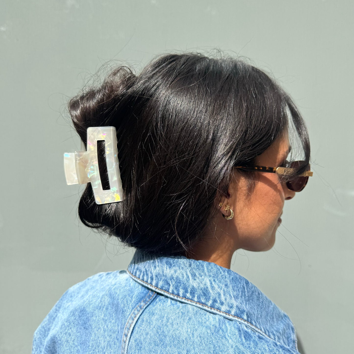 Classic Hair Clip